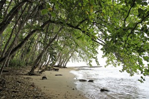 puerto viejo CR - Magalie L'Abbe